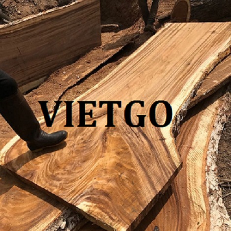 patelvietgowalnut