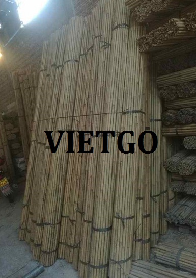 pieter-vietgo-gay4