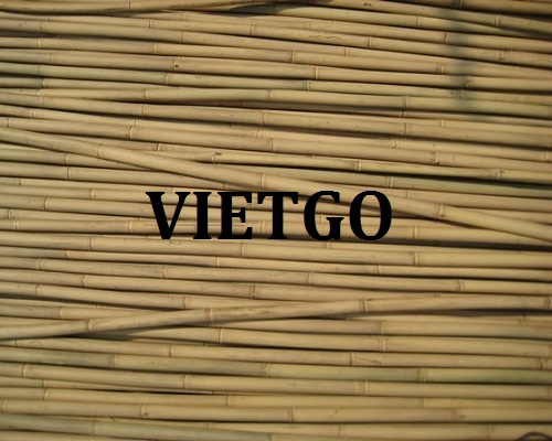 pieter-vietgo-gay4