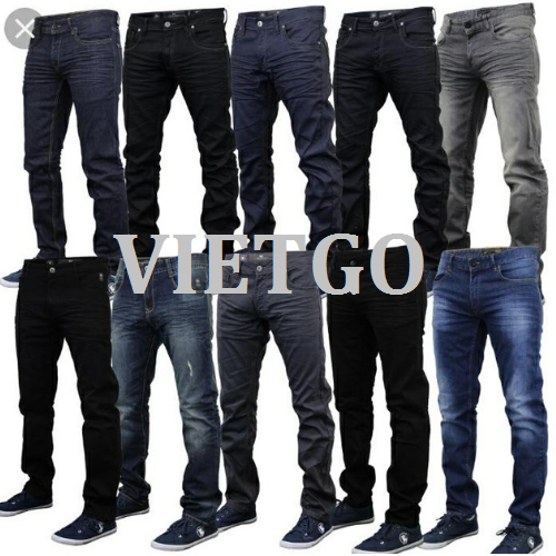 polojeansvietgo140319