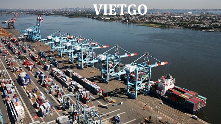 tinh bột nghệ việt nam