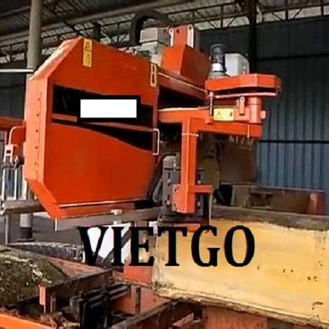 prasad-vietgo-camxe