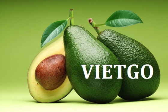 VIETGO-xuat-khau-trai-cay-Somalia-Mohamed