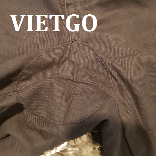 quanbhldvietgo110319