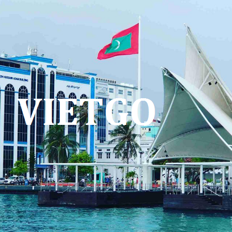Tỏi tươi Vietgo