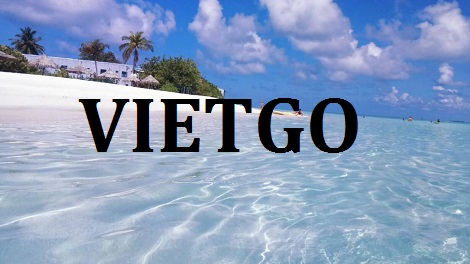 Tỏi tươi Vietgo