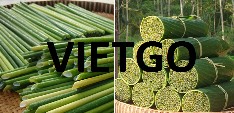 Gỗ thông xẻ Vietgo