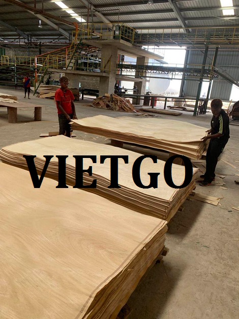 Ván bóc Vietgo