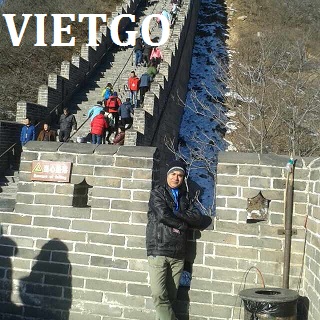 tỏi