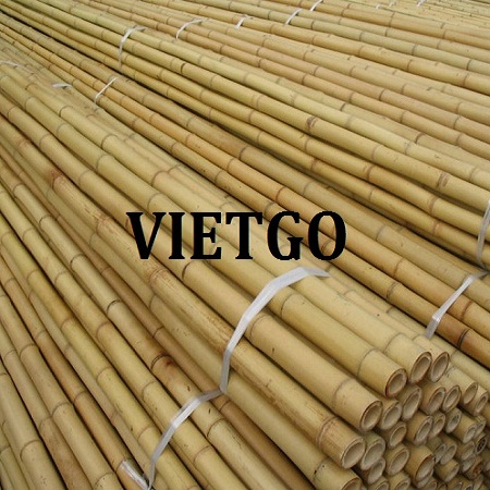 sam-vietgo-gay1
