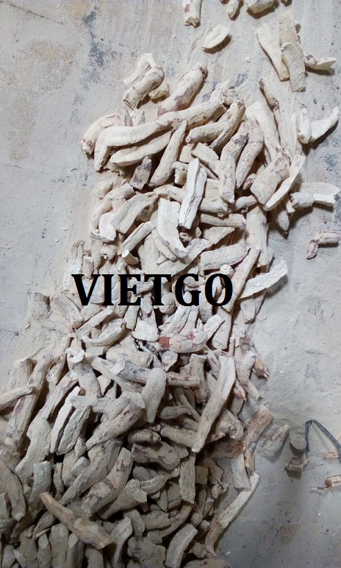 san-lat-vietgo3 san-lat-vietgo3