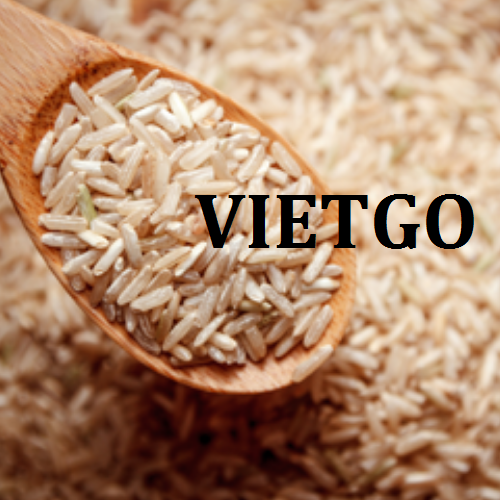 sanlatvietgo120319 sanlatvietgo120319