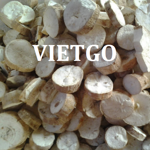 sanlatvietgo130319