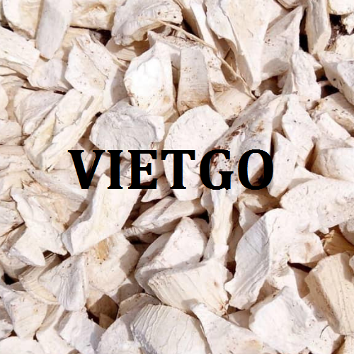 sanlatvietgo140319
