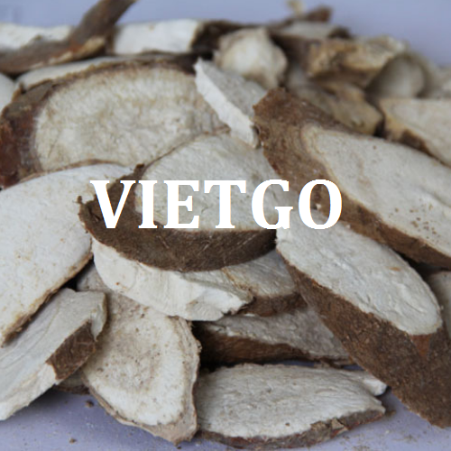 sanlatvietgo180319