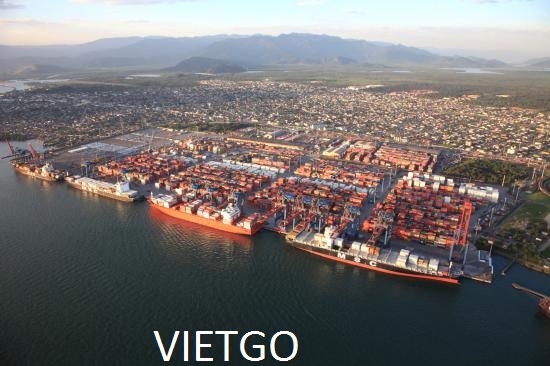 tỏi việt nam
