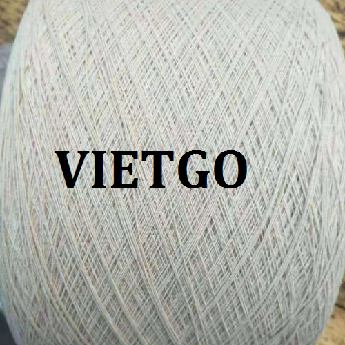 soi-vietgo-211218