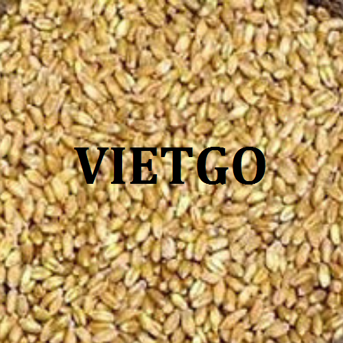 soivietgo040319