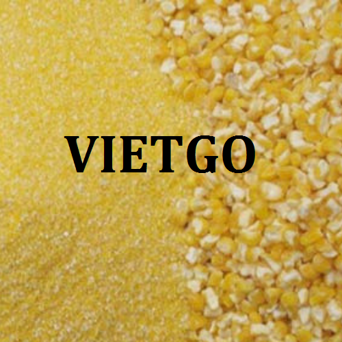 soivietgo040319