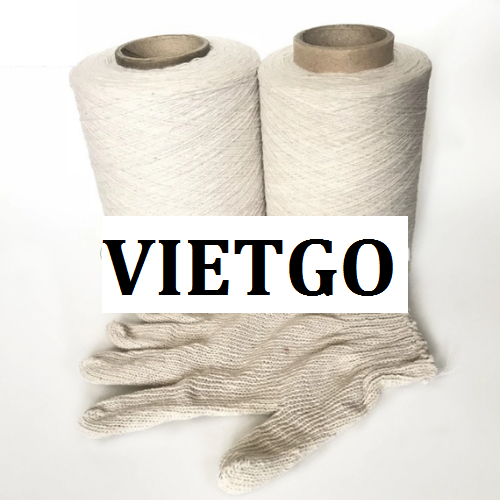 soivietgo220219