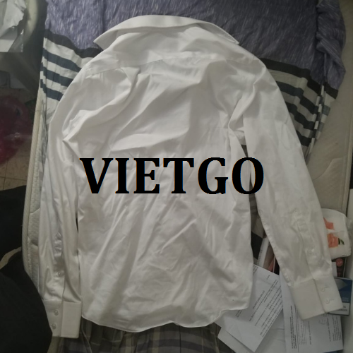 somivietgo070319