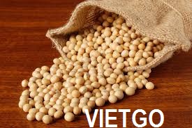 đậu nành việt nam
