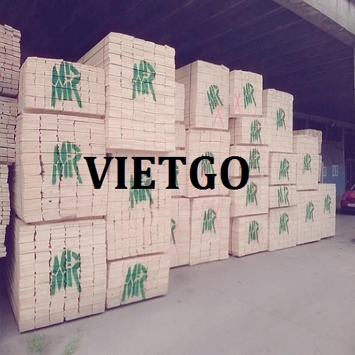 spruce-thong-xe-vietnam-vietgo-rahman2