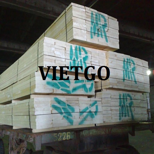 spruce-thong-xe-vietnam-vietgo-rahman2