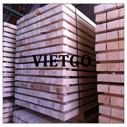 spruce-thong-xe-vietnam-vietgo-rahman2