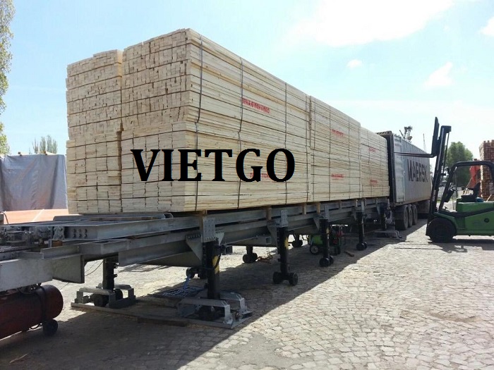 spruce-thong-xe-vietnam-vietgo-rahman2