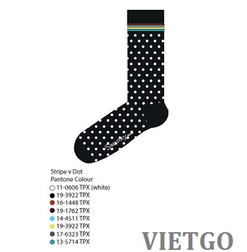 minh họa về Pantone