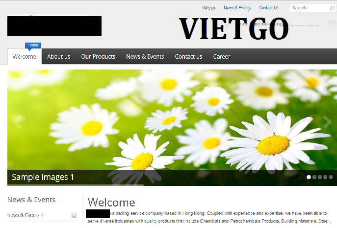 taufique-vietgo-tapioca5 taufique-vietgo-tapioca5