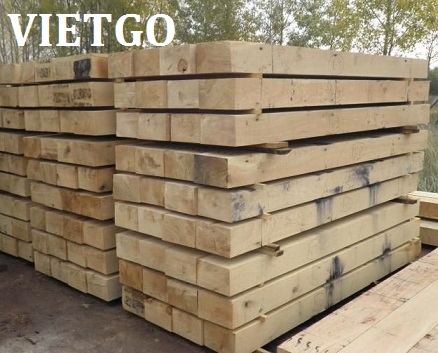 gỗ thông xẻ hộp
