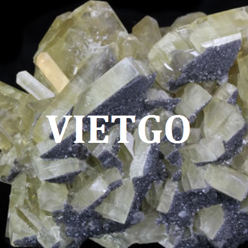 thanda-vietgo-201218 thanda-vietgo-201218