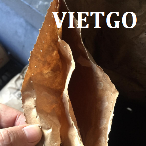thandenvietgo070319