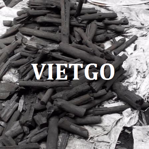 thandenvietgo110319
