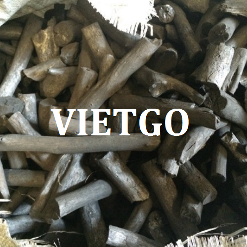 thandenvietgo110319