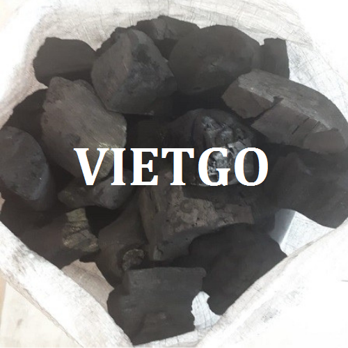 thandenvietgo110319