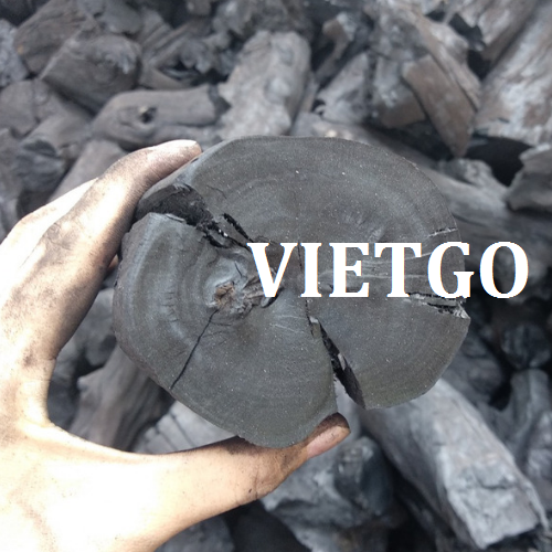 thantrang-vietgo-020119