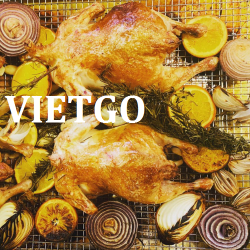 thantrangvietgo010319 thantrangvietgo010319