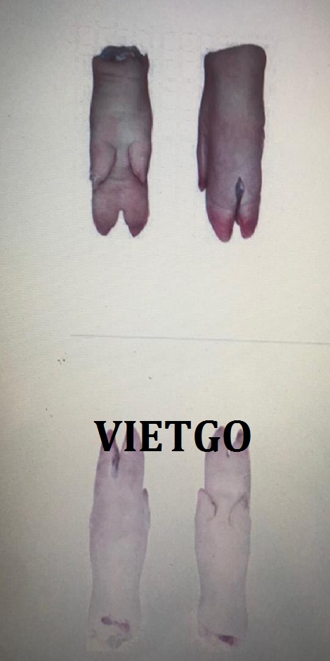 thit-bo-vietgo-yao5
