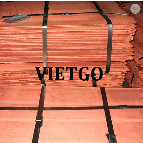 thomas-vietgo-clinker7