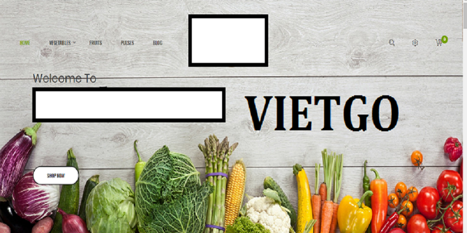 tieu-vietgo-ali