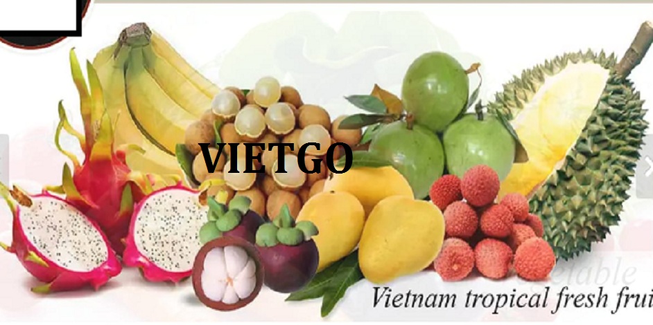 toi-vietgo-javed