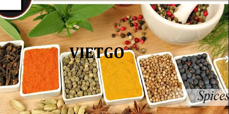 toi-vietgo-javed