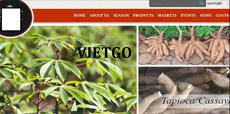 toi-vietgo-javed