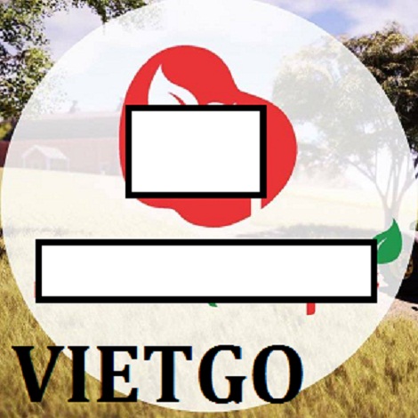 toi-vietgo-kang