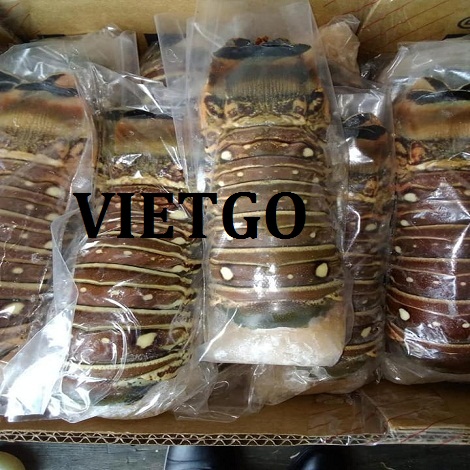 tom-vietgo19021
