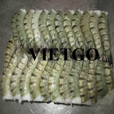 tomsu-vietgo2201