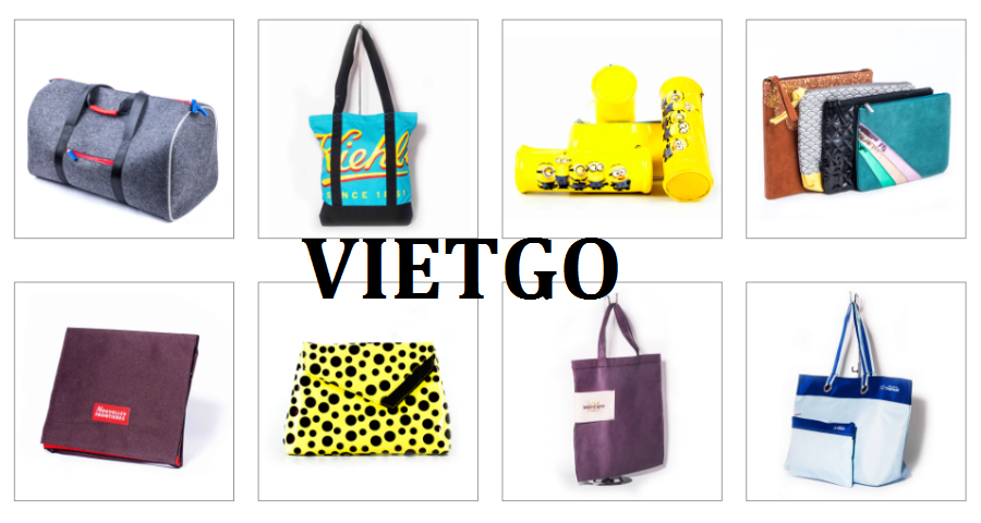 tuigiay-vietgo-221218